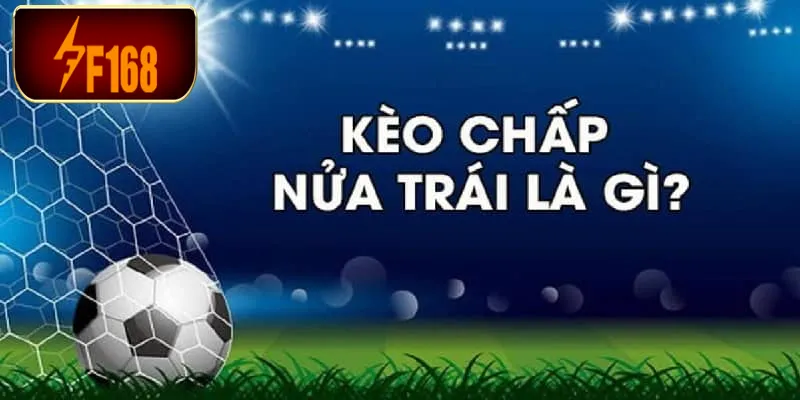 Cách đọc kèo bóng đá tại F168 chính xác và dễ hiểu năm 2025 8 Cách đọc kèo bóng đá tại F168 0.5 sẽ không có trường hợp hòa tiền